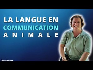 La langue en communication animale