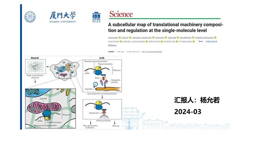 文献汇报-2025.03- 杨允若