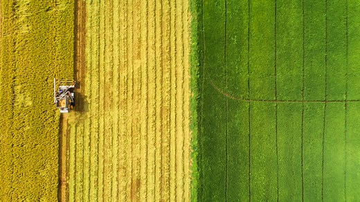 Feeding 10 billion people on Earth is possible—and sustainable, scientists say