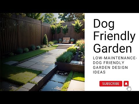 Low-Maintenance-Dog Friendly Garden Design Ideas | Ultimate Playlist 🏡🐾