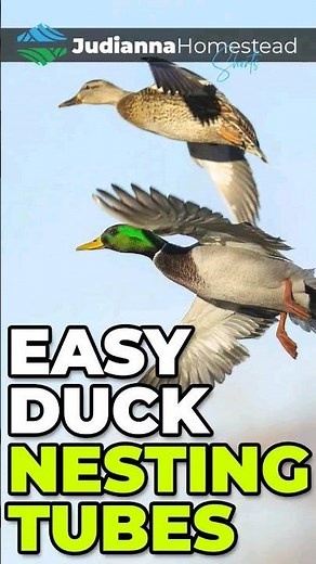 How To Make DUCK NEST Tubes