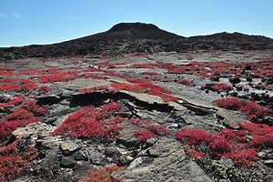 Chinese Hat Visit Site What to Expect - Galapagos Insiders