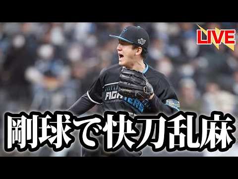 【投手戦】北山8回3安打無失点vs古謝9回1安打1失点と両者最高の投球。カストロの本塁打が勝利を決める【北海道日本ハムファイターズ】