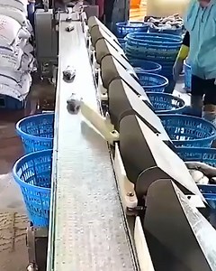 Smart machines in the food industry | DIY Panda