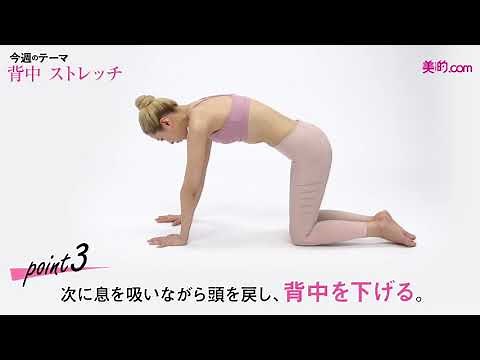 【背中・ストレッチ編】背中を丸めて、伸ばして気持ちいい～のにすっきり！｜エクササイズ＆ストレッチでシェイプアップ！「1ポーズayayoga」