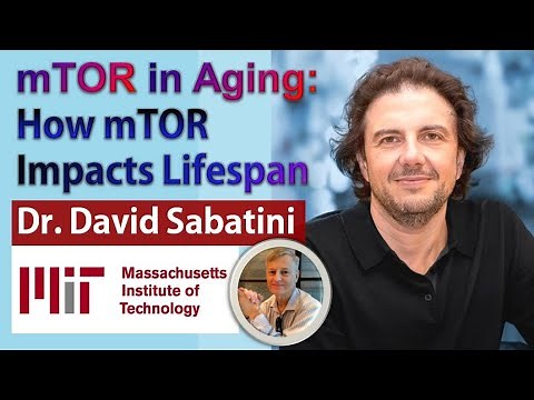 mTOR in Aging Ep2 - How mTOR Impacts Lifespan | Dr David Sabatini Interview Series