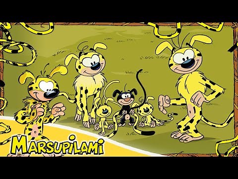 Marsupilami - Saison 1, Épisodes 16 à 20 | Épisode complet