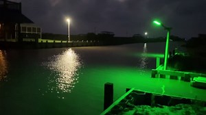 LANGY Hog Lights for Night Hunting, Solar Hog Light 20000 Lumen Green Feeder Light with Reomte, Motion Activated with 20Inch Pole, Green Solar Lights for Hunting Predator, Coyote, Varmint, Hog, Deer