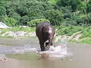 Everyone's getting in the World Cup spirit! | ESPN