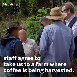 “Parents are forced to let their children pick coffee.” #Dispatches reveals the truth about your coffee. We have uncovered child labour on coffee farms that supply beans to Nespresso and Starbucks. Some children are as young as 11 and are getting paid just pennies an hour. Starbucks and Nespresso: The Truth About Your Coffee, Monday at 8pm on Channel 4 | Dispatches - Channel 4