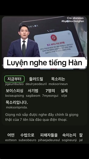 Luyện nghe tiếng Hàn 📚 #luyennghetienghan #topik #nhunghyein #shadowingkorean