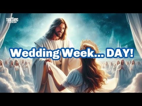 The Wedding Week... DAY 🤯