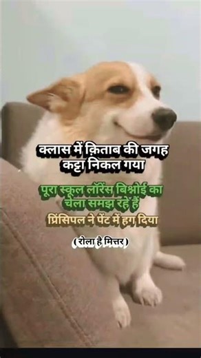 मित्रर 😎😎😀😂😂👑 #ytshorts #ytstudioes #funny #shorfeed #comedy #cartoon #jokes #cartoonvideo