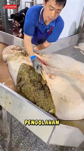 Pengolahan Perut Sapi di China #shorts