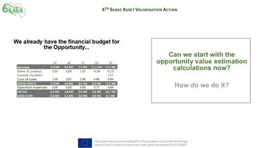 6SAVA 2.2 Valorization and technology transfer – The financial budget and valorisation methods | TECNALIA Research Innovation