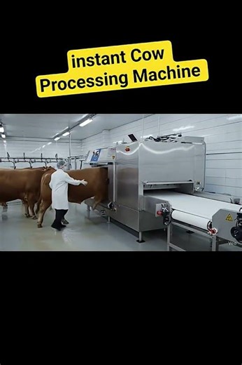 Amazing Automatic Cow Processing Machine | Modern Meat Factory Technology #MeatProcessing