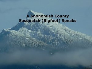 A Snohomish County Sasquatch (Bigfoot) Speaks