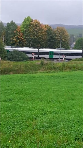 Streckensperrung Regionalbahn RB30 liegen geblieben Dresden nach Chemnitz Oberleitung 🌳 08.10.2026
