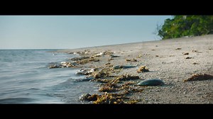The island that holds a dark secret. Get out before it’s too late! #Sweetheart 💀 | Universal Sony Pictures Home Entertainment Australia