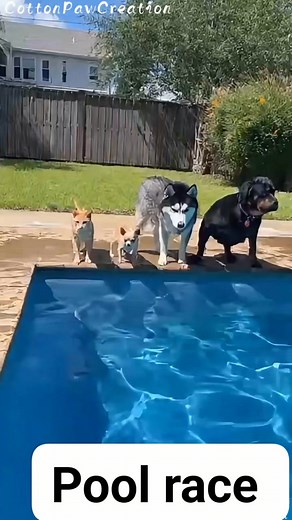 Pool race | Bernadeth Madelo Dela Peña
