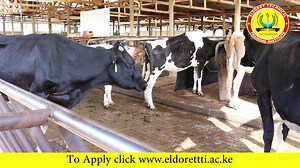 ENROLL FOR SEPTEMBER INTAKE AT THE ELDORET TECHNICAL TRAINING INSTITUTE WE ARE LOCATED IN THE MIDDLE OF ELDORET NEAR KCB BANK OR OPPOSITE FAMILY BANK AND PETRESHA/BERUR BUILDING 2ND FLOOR NEXT TO DUKAA STAGE. REQUIREMENTS C-DIPLOMA D-CERTIFICATE'S D-,E TO KCPE LEVEL ARTISAN APPLY FOR SEPTEMBER INTAKE click www.eldorettti.ac.ke or SMS WhatsApp name course grade and email to 0725 818644 FOLLOW ELDORET TECHNICAL TRAINING INSTITUTE | ELDORET TECHNICAL TRAINING INSTITUTE