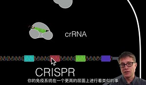 2科普CRISPR是什么（中字字幕）