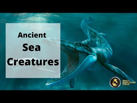 Top Documentary - Ancient Sea Creatures 2021