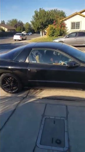 94 Firebird Formula V8 Cold Start. #cammedlt1 #94firebirdformula