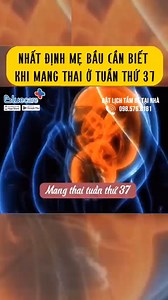 Mang thai tuần thứ 37 mẹ bầu lưu ý nhé | Chuyện MANG THAI và LÀM MẸ