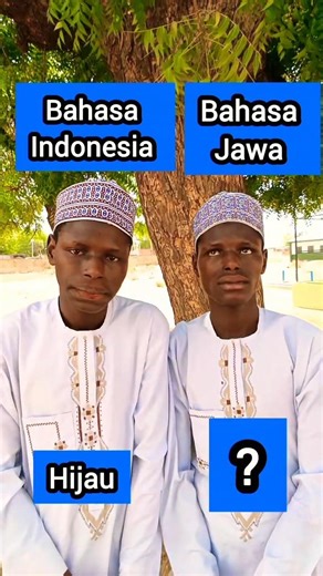 Bahasa Jawa Vs Indonesia 🇮🇩 #indonesia #orangafrika #trending #orangluar #viral #shorts