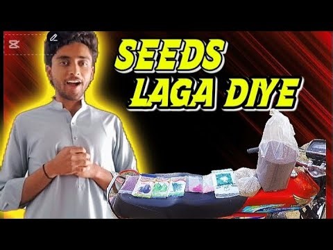 Growing vegetables|fieldworking| Village Life with Ashar