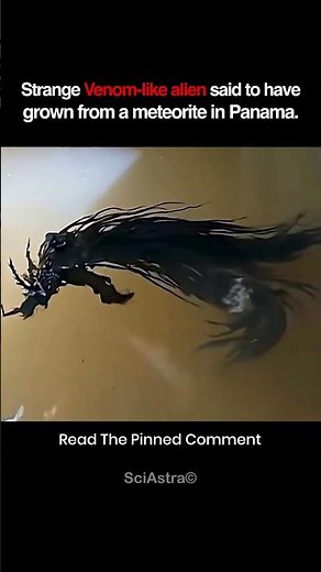 Real Alien Organism Found in Panama? 👽🌍