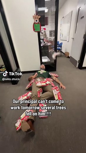 Principal Down 🐍!!!!