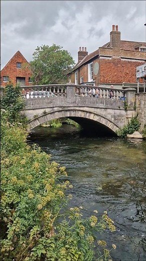 Winchester UK💧River Itchen 4K 🌿 @Life_is_Beautifulll_