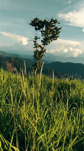 Couple Hiking in Mountains | Finding Peace in Nature Sri Lanka 🇱🇰 Guide to Peace SL WhatsApp status
