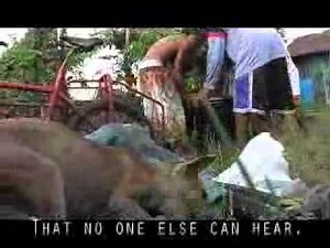 CHICKEN A LA CARTE TRUE STORY ABOUT HUNGER AND POVERTY BY FERDINAND DIMADURA