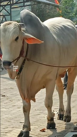 Contest Participants From Mr. Poo Farm!!