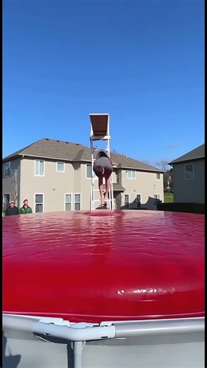 Giant Jelly Pool Backflip 😂