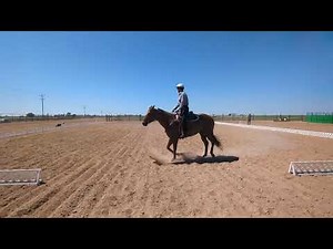 OIC WDressage Basic Test 1, 334