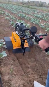 4hp Heavy Duty Power Weeder in Vegetables Field For Demo Plz Contact 93151 43151