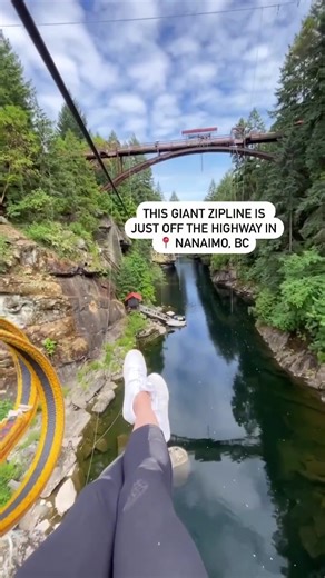 12 Ziplines, 45 Aerial Adventures Games, a 40ft WTF Jump, and Axe Throwing in the Lower Mainland | WildPlay Maple Ridge