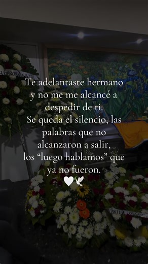 Te adelantaste hermano 🤍🕊️#tevoyaextranar #tequieromucho #logritarealviento #teamo #temandounbeso