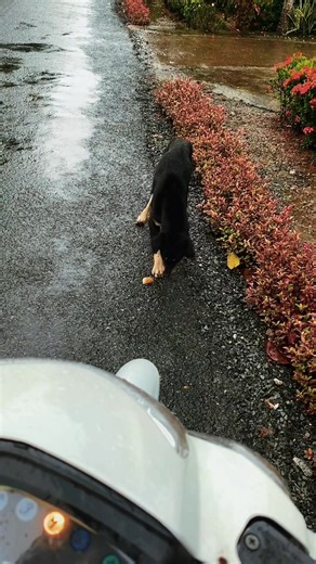 2.2K views | Trần Trân on Reels | Facebook