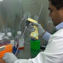 Video: Impedance-based Real-time Measurement of Cancer Cell Migration and Invasion