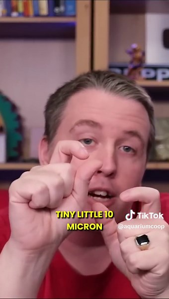 Using Salt to Fight Ich 🧂 #aquariumcoop #aquariumadvice #aquariumfish