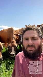 Cafo’s have nothing to do with animal welfare but there are great welfare reasons for them depending on your climate. Anyone that says being a Cafo means you’re ruining the environment doesn’t actually know anything about them. | TDF Honest Farming