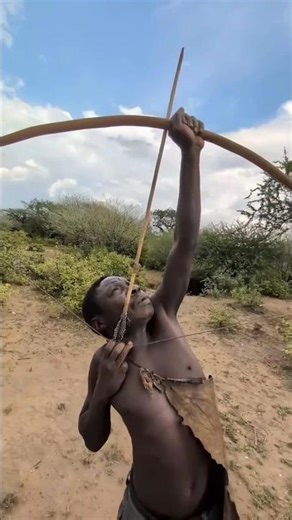 #ArrowHead #shortsfeed #shorts #trending