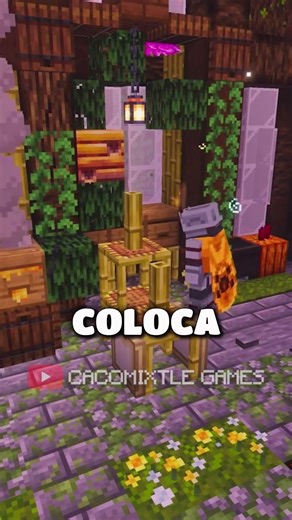 Stop adopting pets in Minecraft… If you don't know this #cacomixtle🦊