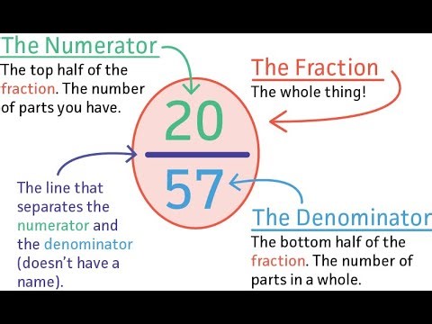 Basics of Fractions - Algebra 2