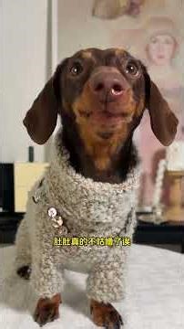 Alien Kitten vs Car Seat: A Whimsical Feeding Frenzy